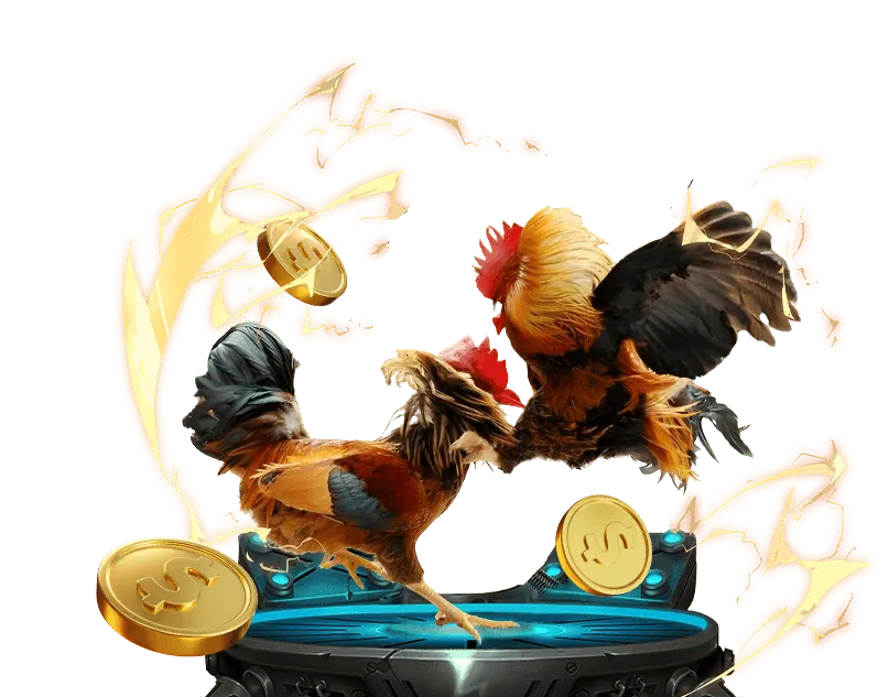 Người dùng đang lựa chọn nền tảng đá gà trực tuyến uy tín với giao diện thân thiện và tính năng bảo mật